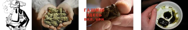 дмт Белокуриха