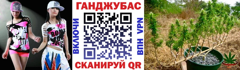 Шишки марихуана сатива  где купить наркоту  Томск 
